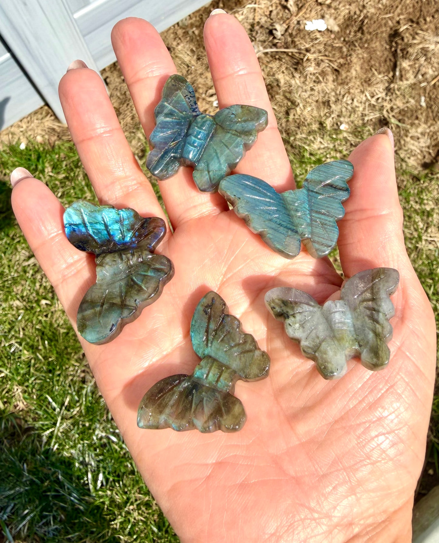 12 PCs Labradorite Butterfly Carving Natural Crystal Healing Energy