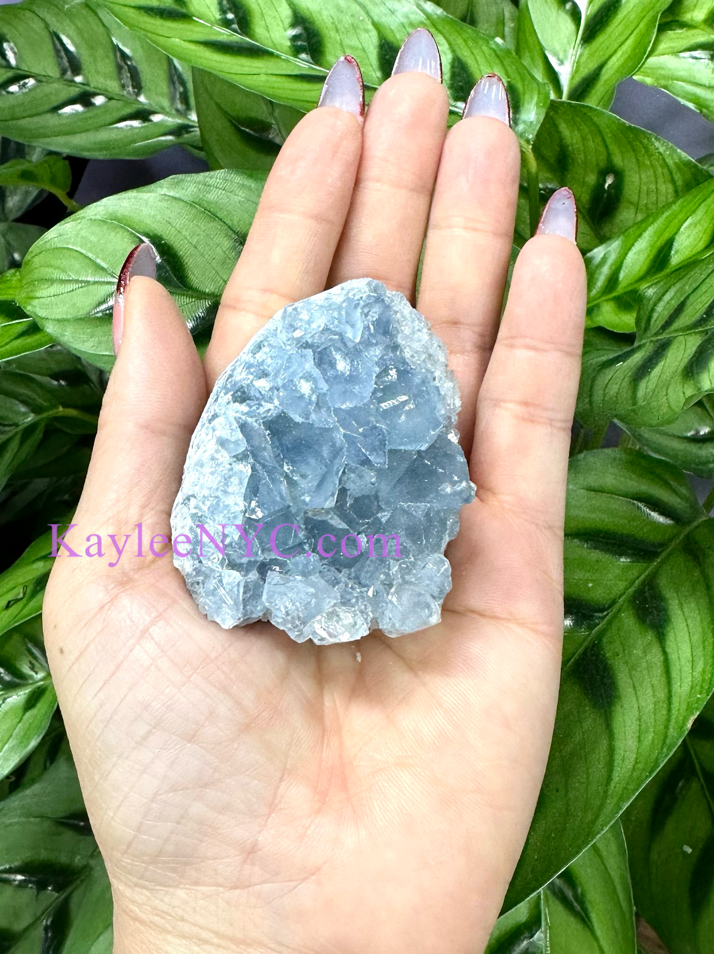 Wholesale Lot 5-6 PCs Natural Celestite Cluster Raw Crystal