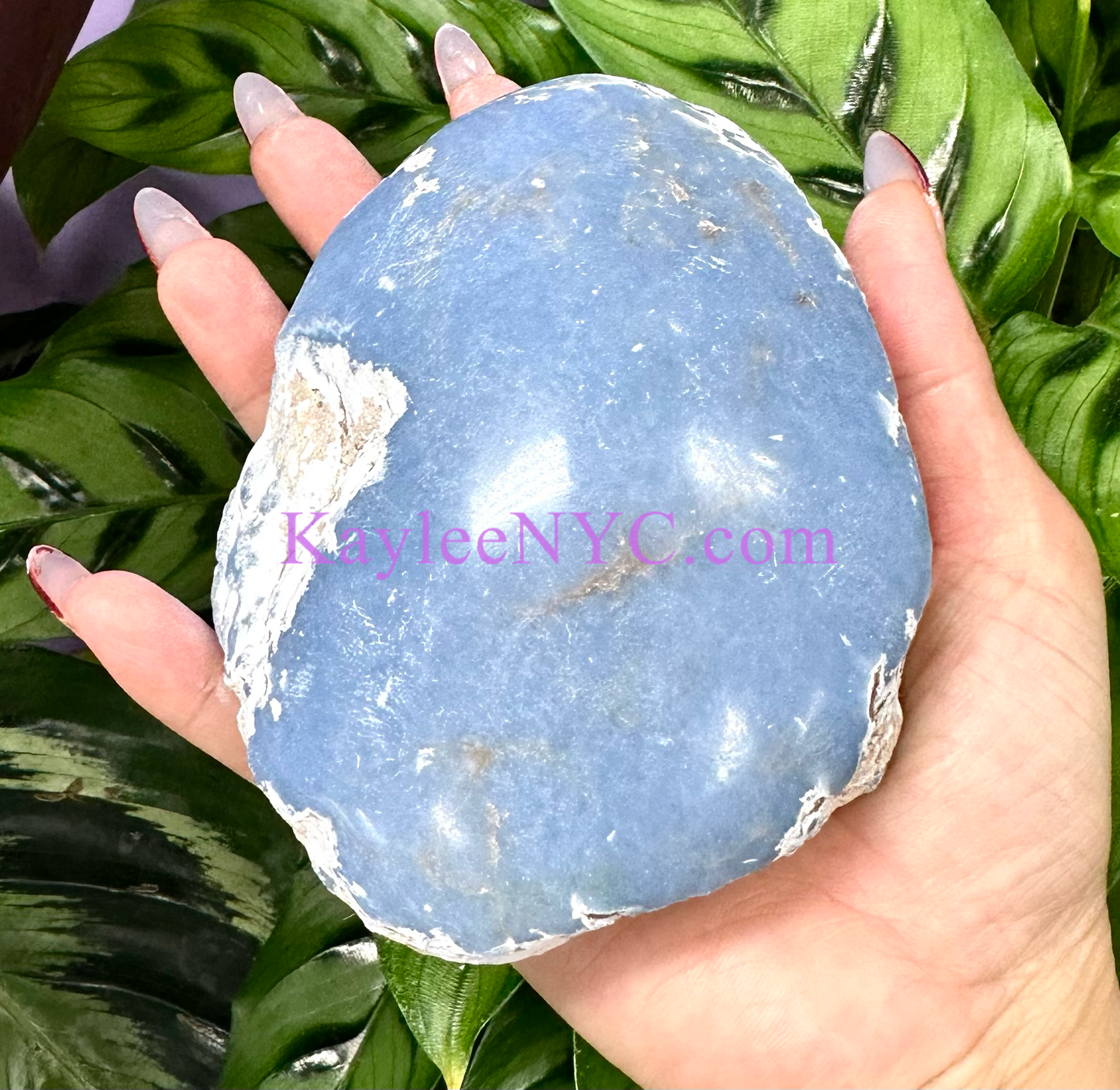 Wholesale 4 Lbs Natural Top polished Angelite Crystal Healing Energy