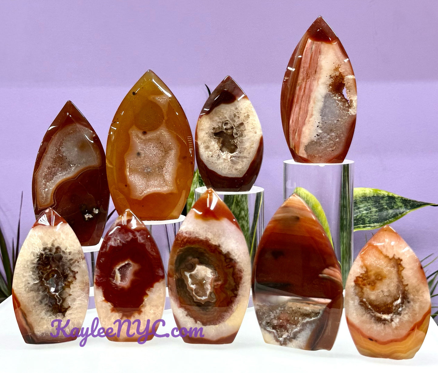 6-10 PCs Natural Carnelian Druzy Freeform