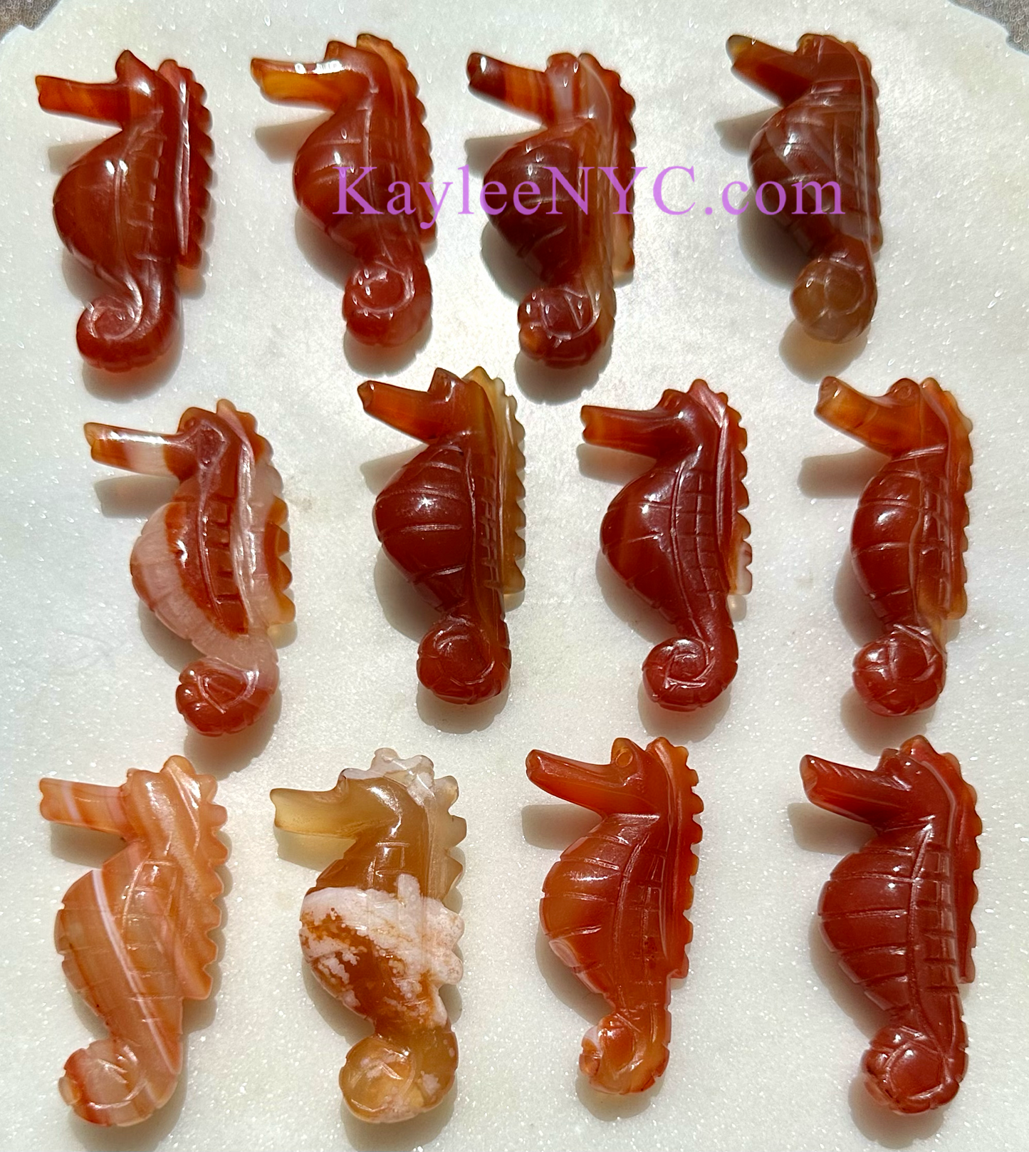 12 PCs 2” Natural Carnelian Seahorses Healing Energy