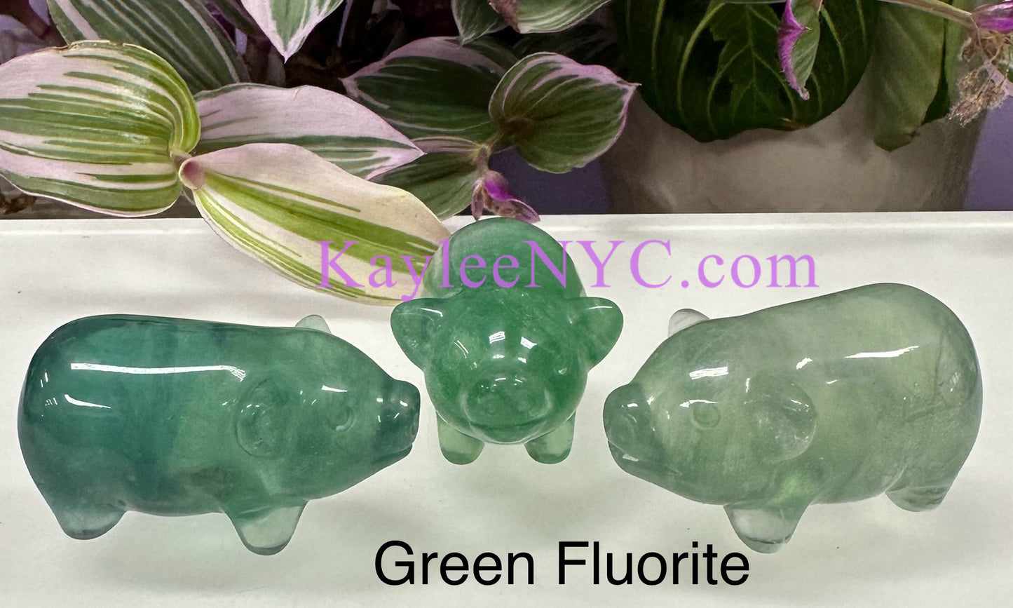 6 PCs 2” Natural Mix Crystals Pigs Healing Energy