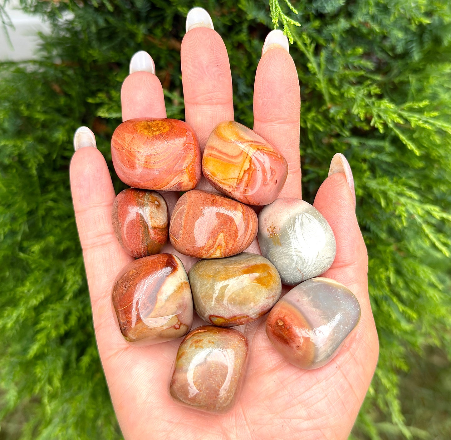 Wholesale Lot 2 lbs Natural Polychrome Jasper Tumble Crystal Nice Quality Healing Energy