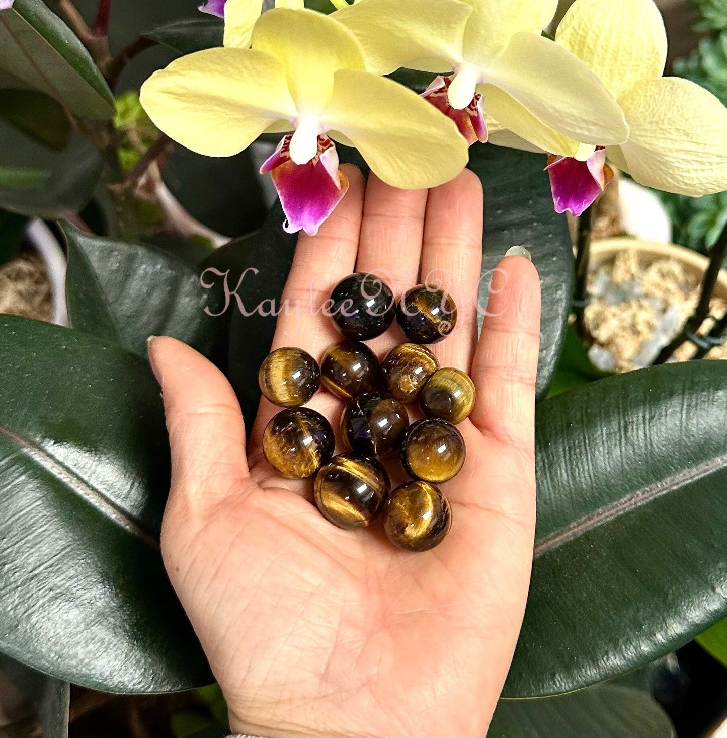 Wholesale Lot 1 Lb mini Natural Tiger Eye Spheres Crystal Ball Energy Healing