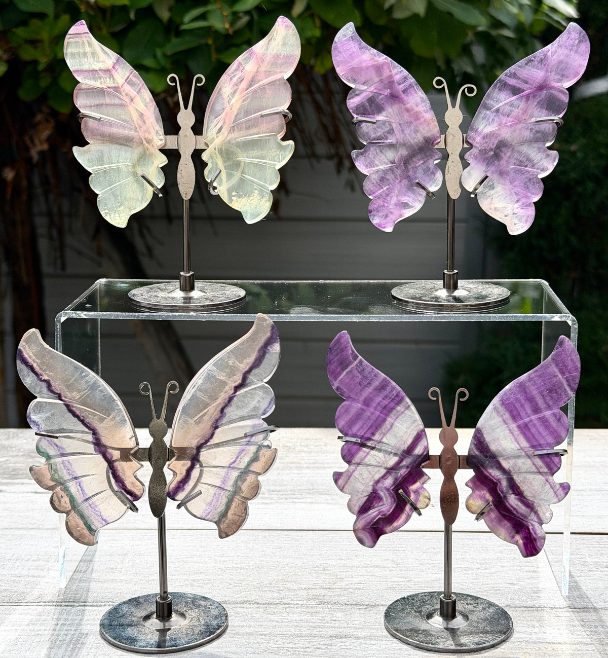 Wholesale Lot 4 PCs Natural Fluorite Crystal Butterfly w/stand Healing Energy