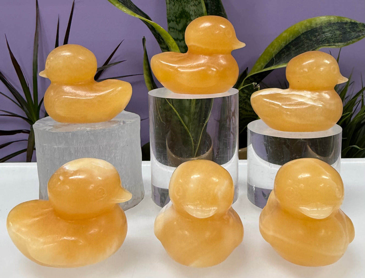 8 PCs 5cm Natural Orange Calcite Duck Crystal Healing Energy