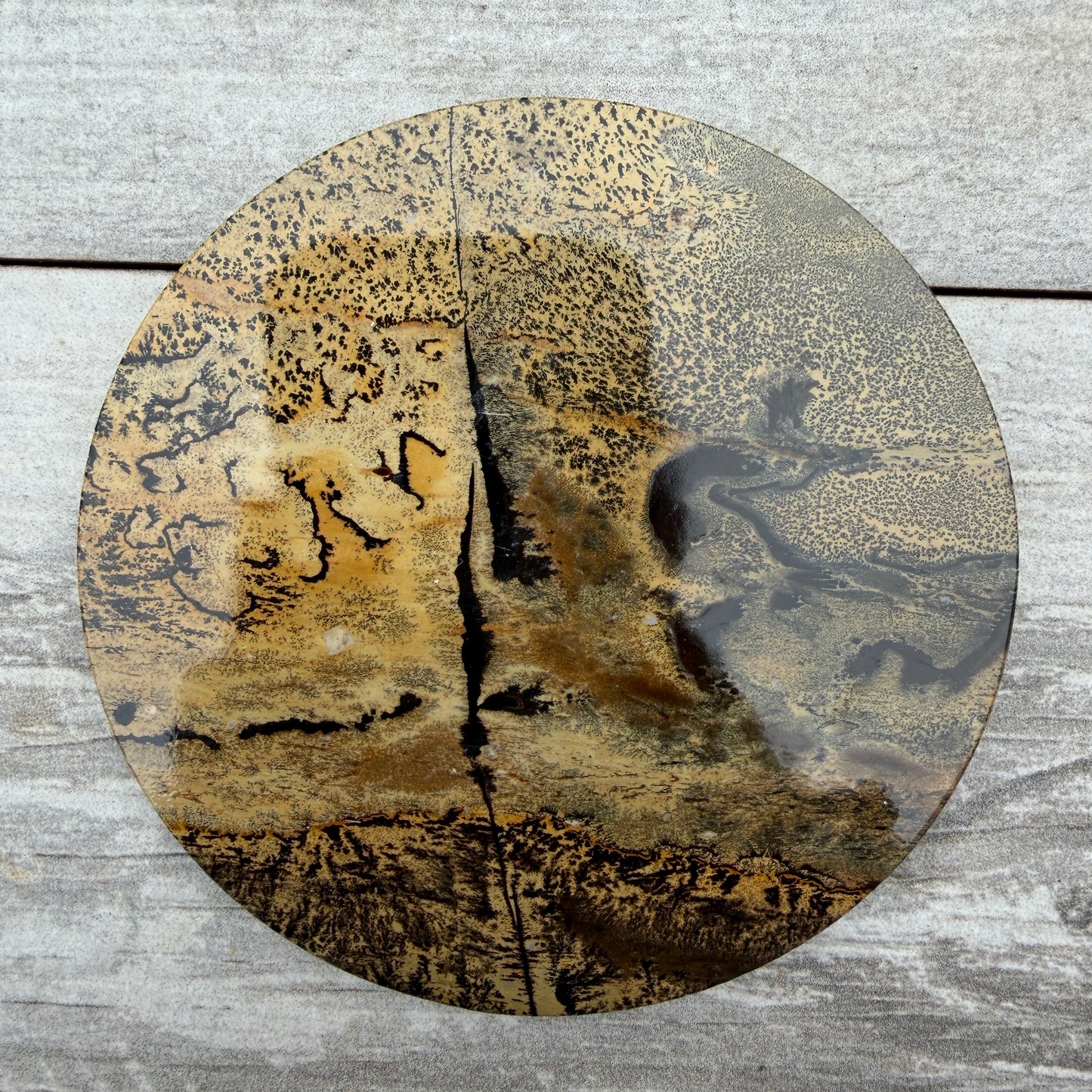 Wholesale Lot 4 pcs Natural Picture Jasper Slab with stand Crystal Healing Energy