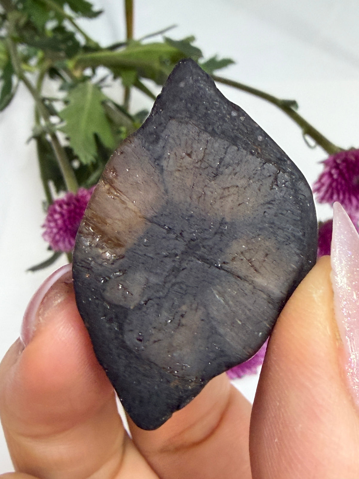Wholesale Lot 2 lbs Natural Chiastolite Tumble Andalusite Cross Stone Crystal Healing Energy