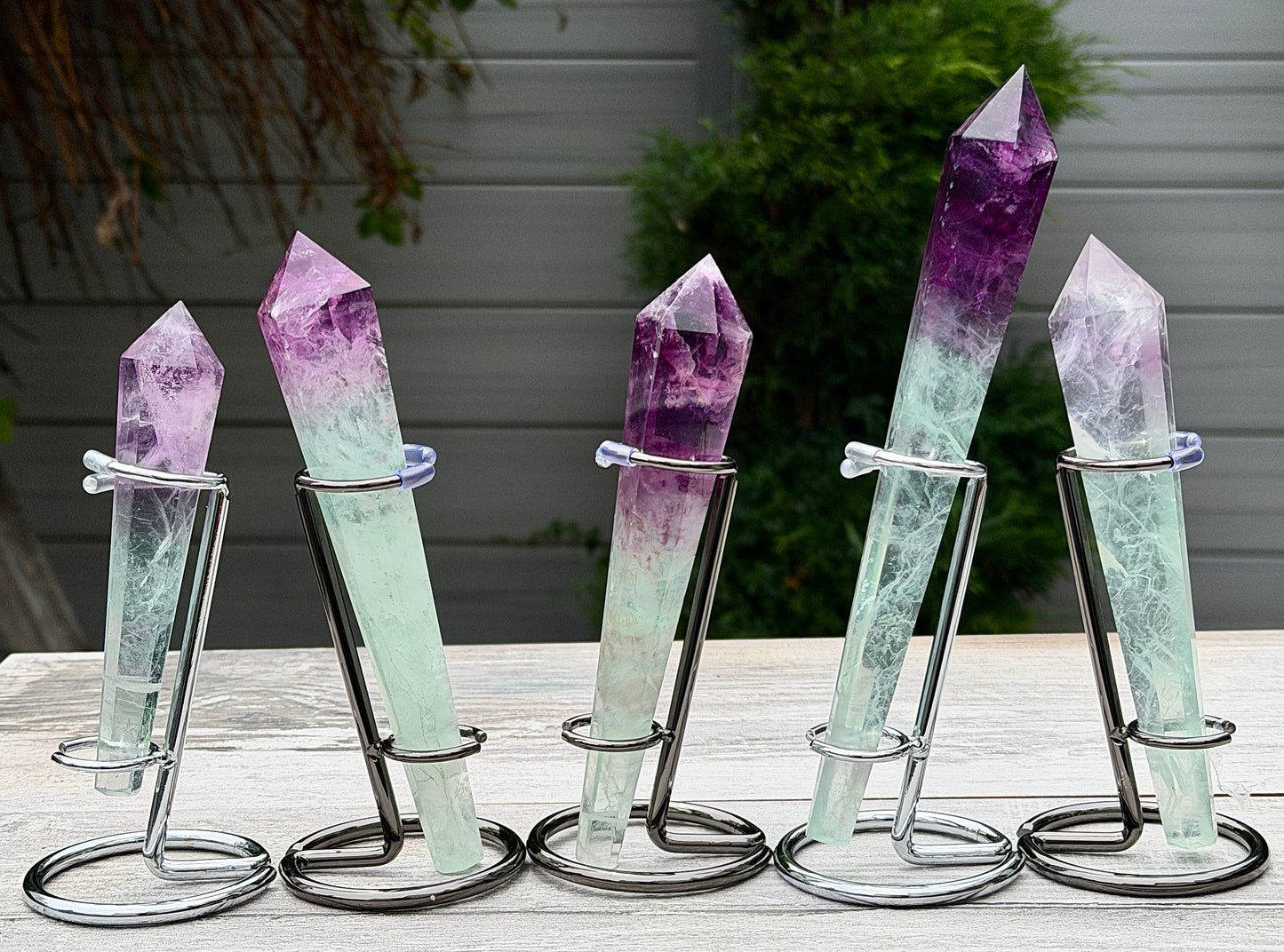 Wholesale Lot 5 pcs Natural Watermelon Fluorite Scepter w stand Crystal Energy