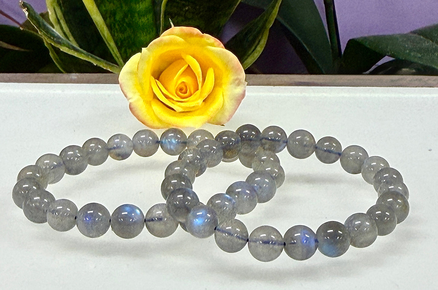 Wholesale 6 Pcs Natural Labradorite 8mm 7.5” Crystal Healing Stretch Bracelet