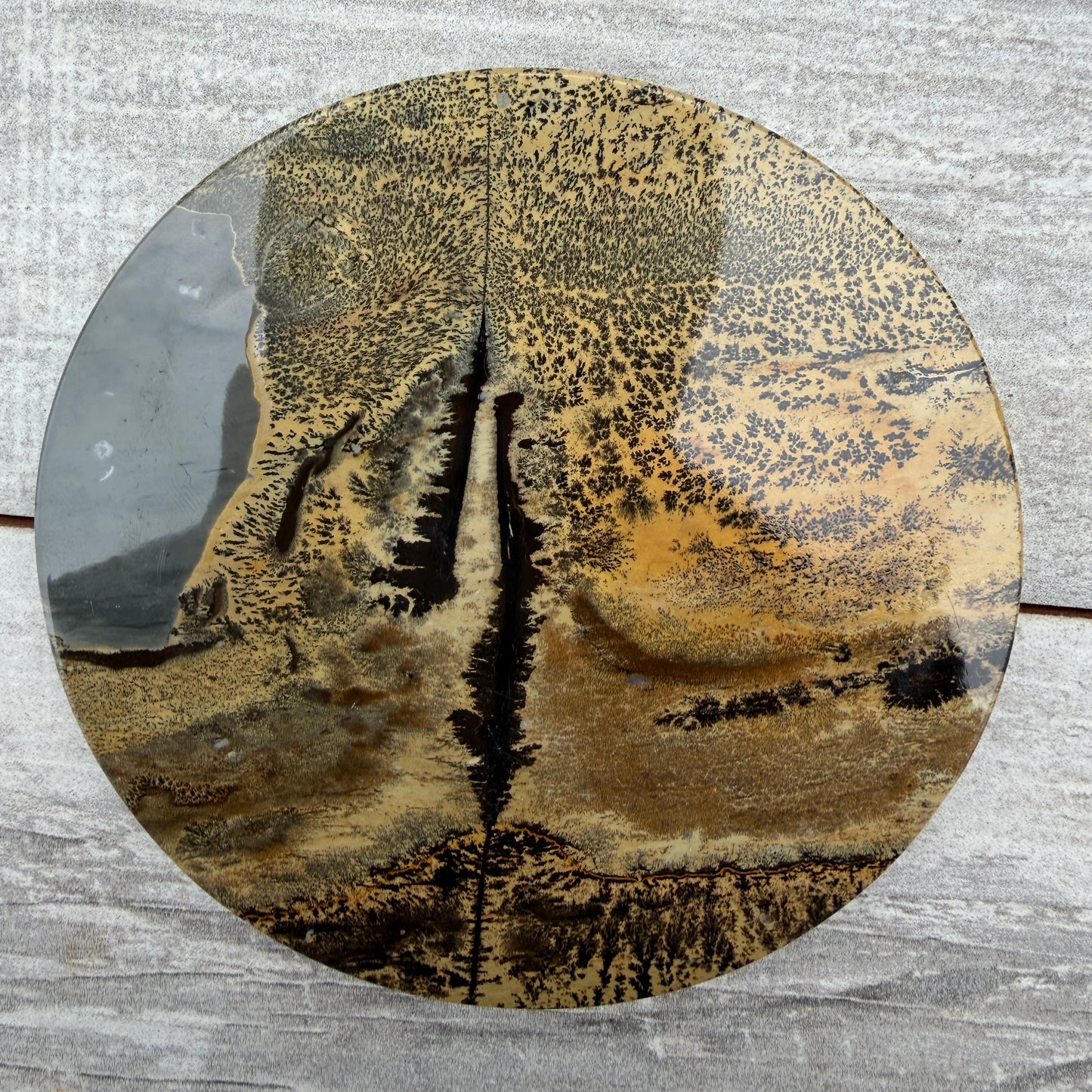 Wholesale Lot 4 pcs Natural Picture Jasper Slab with stand Crystal Healing Energy