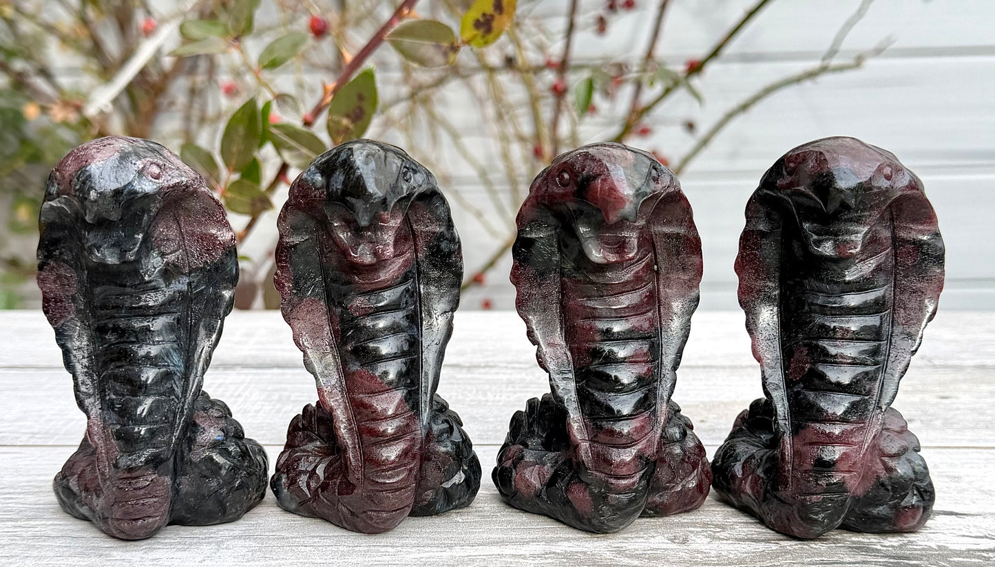 4 PCs Natural Garnet Astrophyllite / Arfvedsonite Coba Snake Crystal healing energy