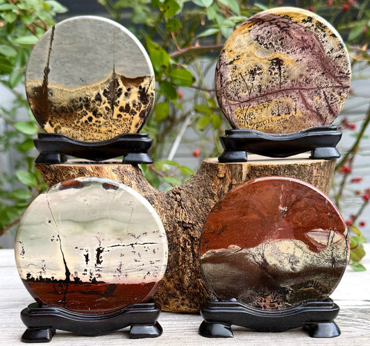 4PCs Natural Picture Jasper  polished Slabs with stand