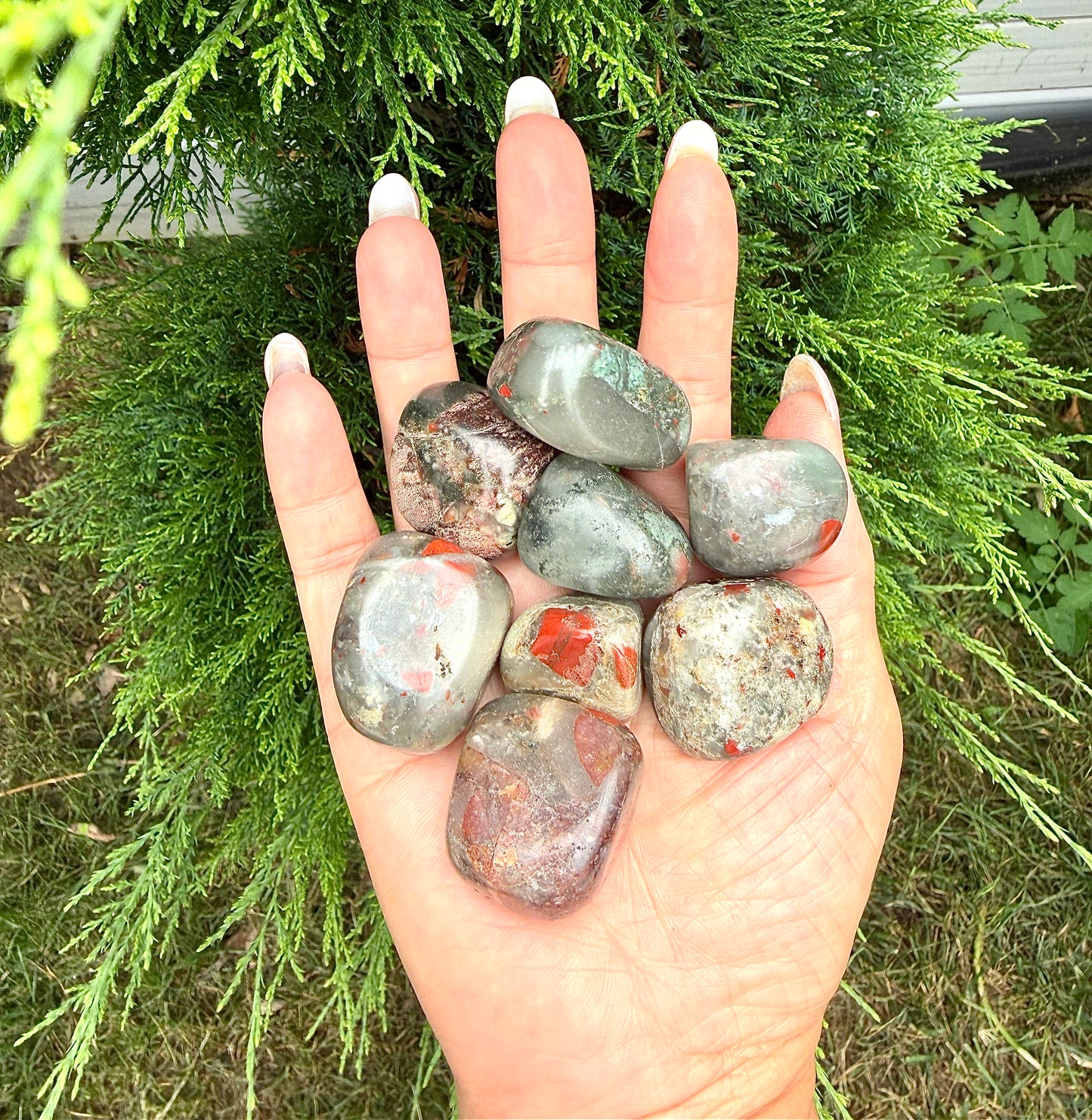 Wholesale Lot 2 Lbs Natural Bloodstone Tumble Healing Energy