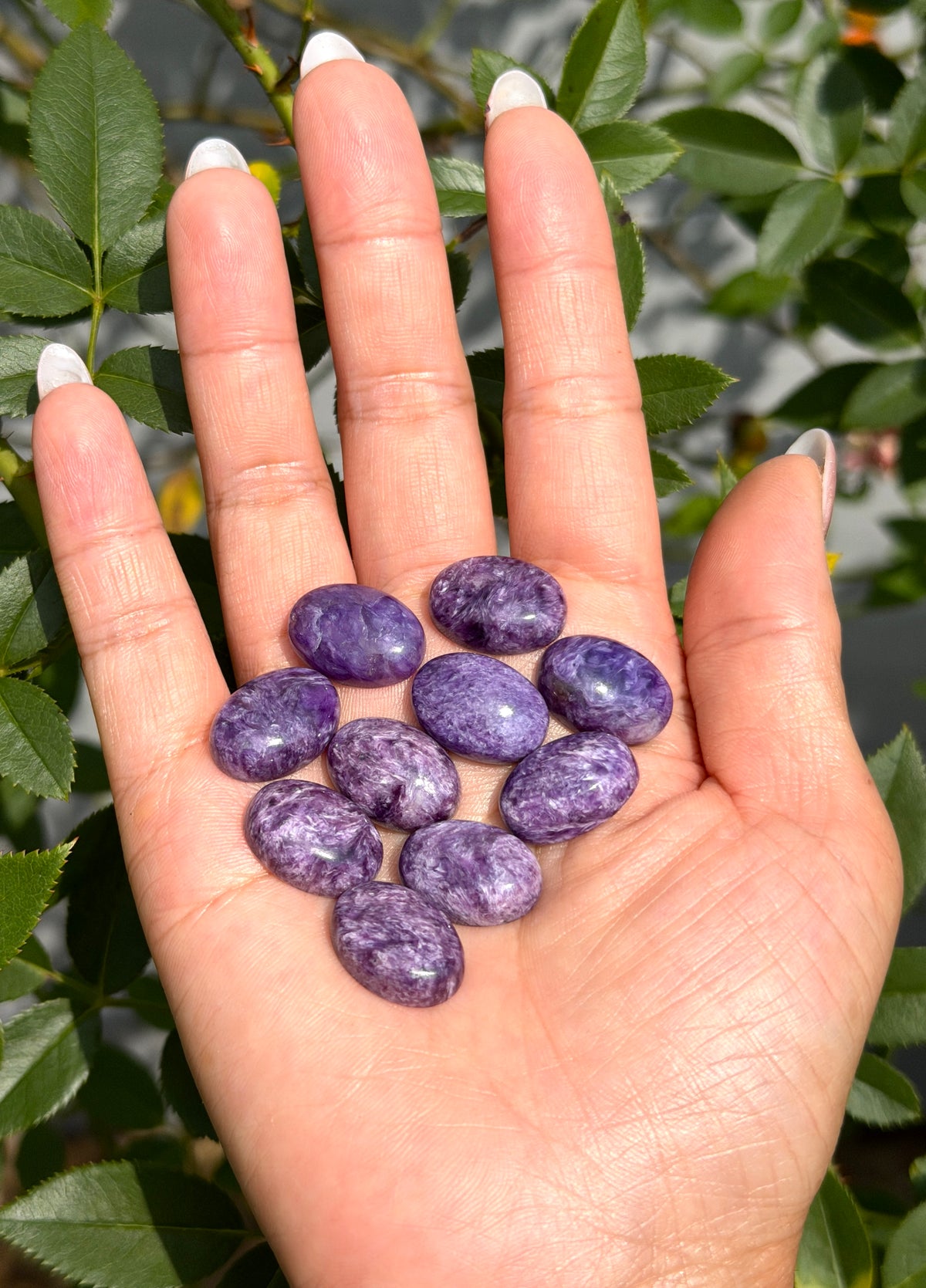 Wholesale Lot 12 pcs Natural Charoite Cabochon Crystal Healing Energ