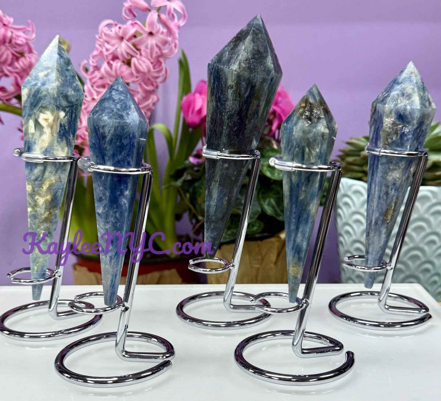 Wholesale Lot 5 pcs Natural Blue Kyanite Scepter w stand Crystal Energy