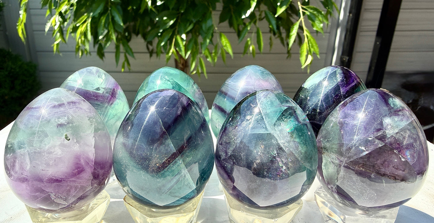 Wholesale Lot 8 pcs Natural Fluorite Egg crystals Healing Enery