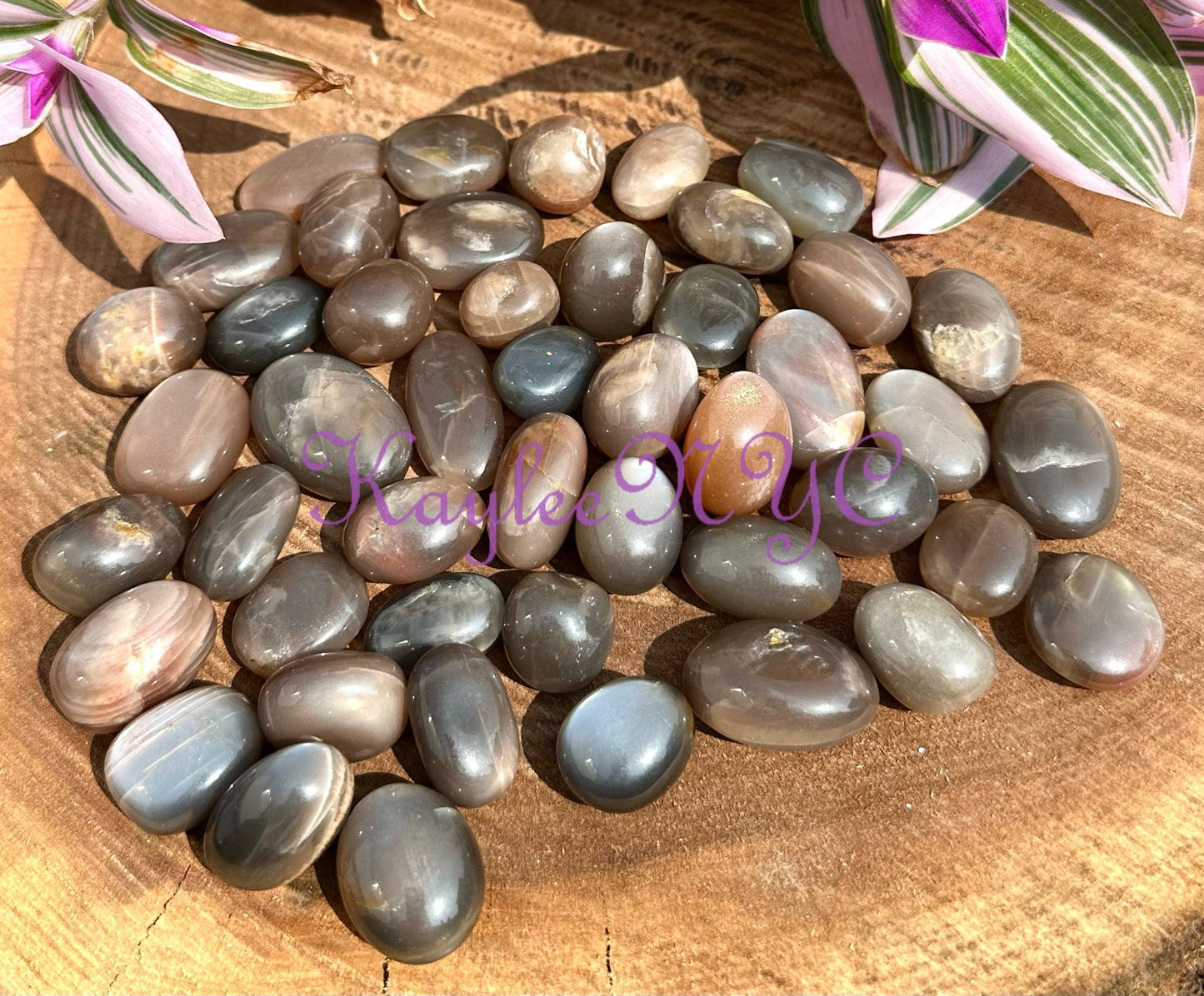 Wholesale Lot 1 lb Natural Black Moonstone Sunstone Tumble Healing Energy Nice Quality