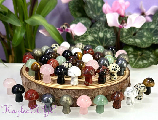 Wholesale Lot 50 PCs Mixed Crystal Mushroom  19mm Healing Energy