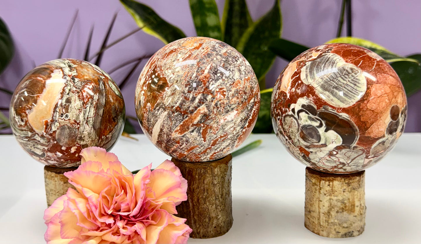 Wholesale Lot 3-4 Pcs Natural Money Agate Sphere Crystal Ball 2.8-3lbs Healing Energy
