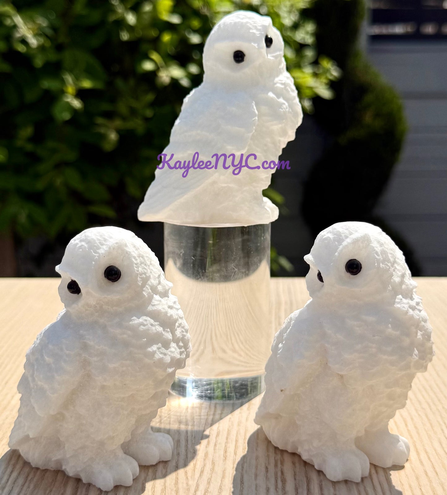 3 PCs Natural Snow Quartz Owls Crystals Healing Energy