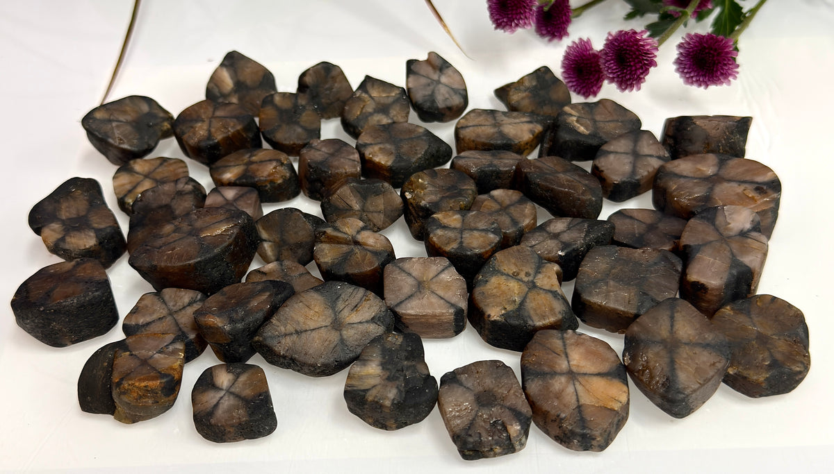 Wholesale Lot 2 lbs Natural Chiastolite Tumble Andalusite Cross Stone Crystal Healing Energy