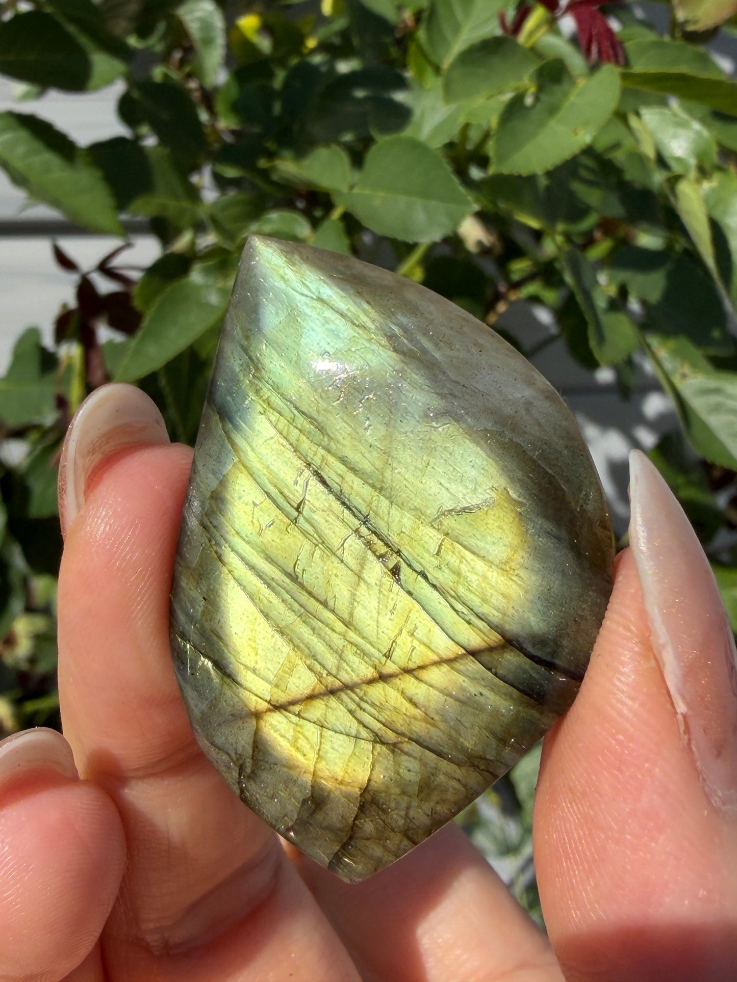 Wholesale Lot 12 pcs Natural Sunset Labradorite Cabochon Crystal Healing Energy