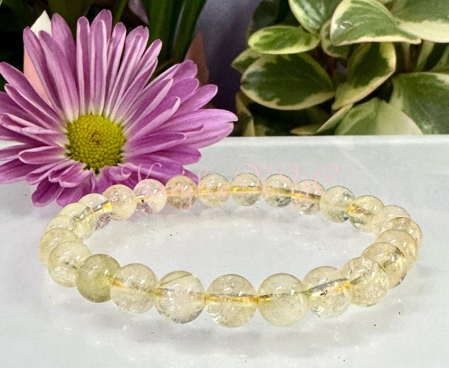 Wholesale 6 Pcs Natural Citrine 8mm 7.5” Crystal Healing Stretch Bracelet