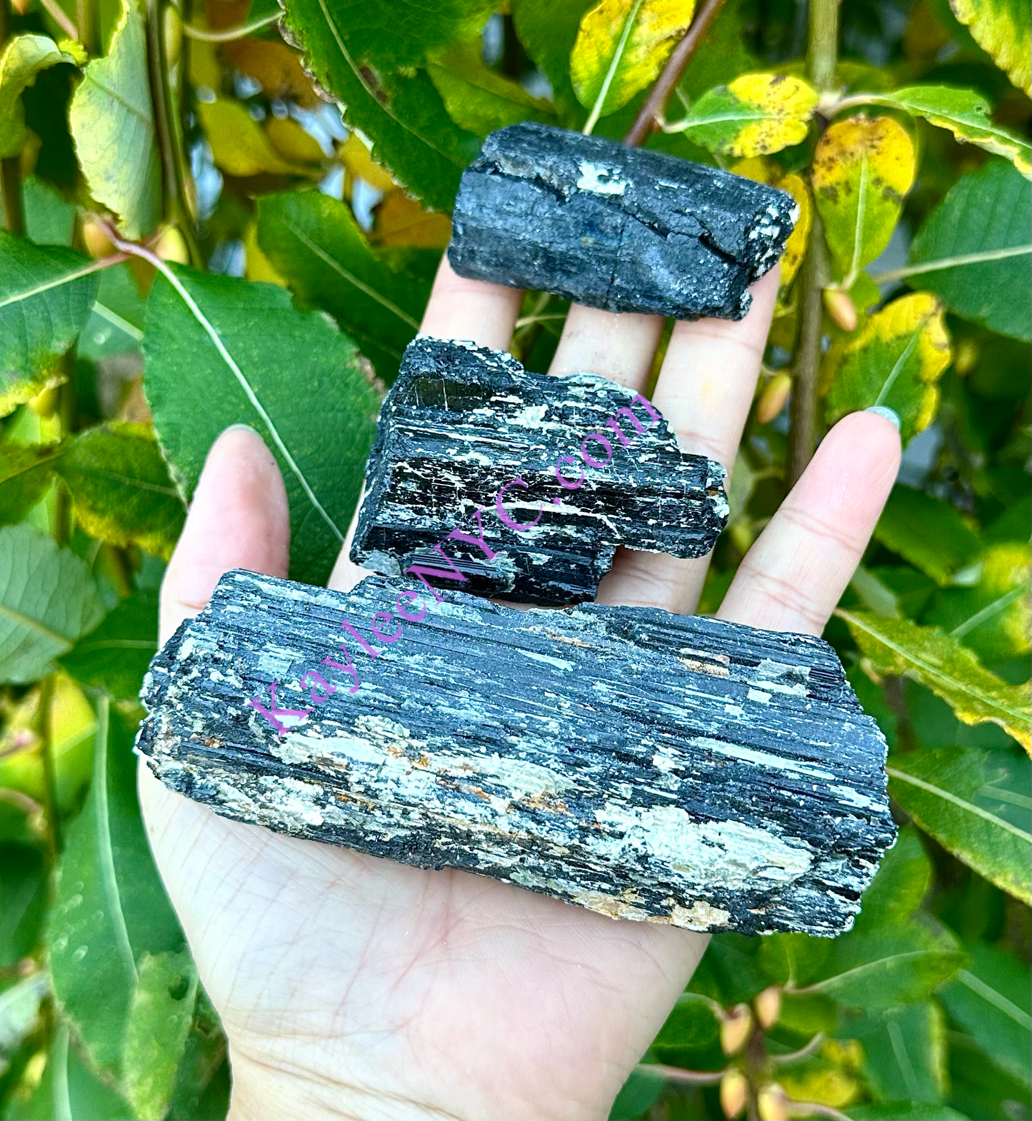 Wholesale Lot 3 lbs Natural Black Tourmaline with Muscovite Mica Crystal Raw