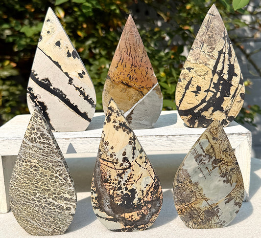 6PCs Natural Picture Jasper Freeform Crystal Healing