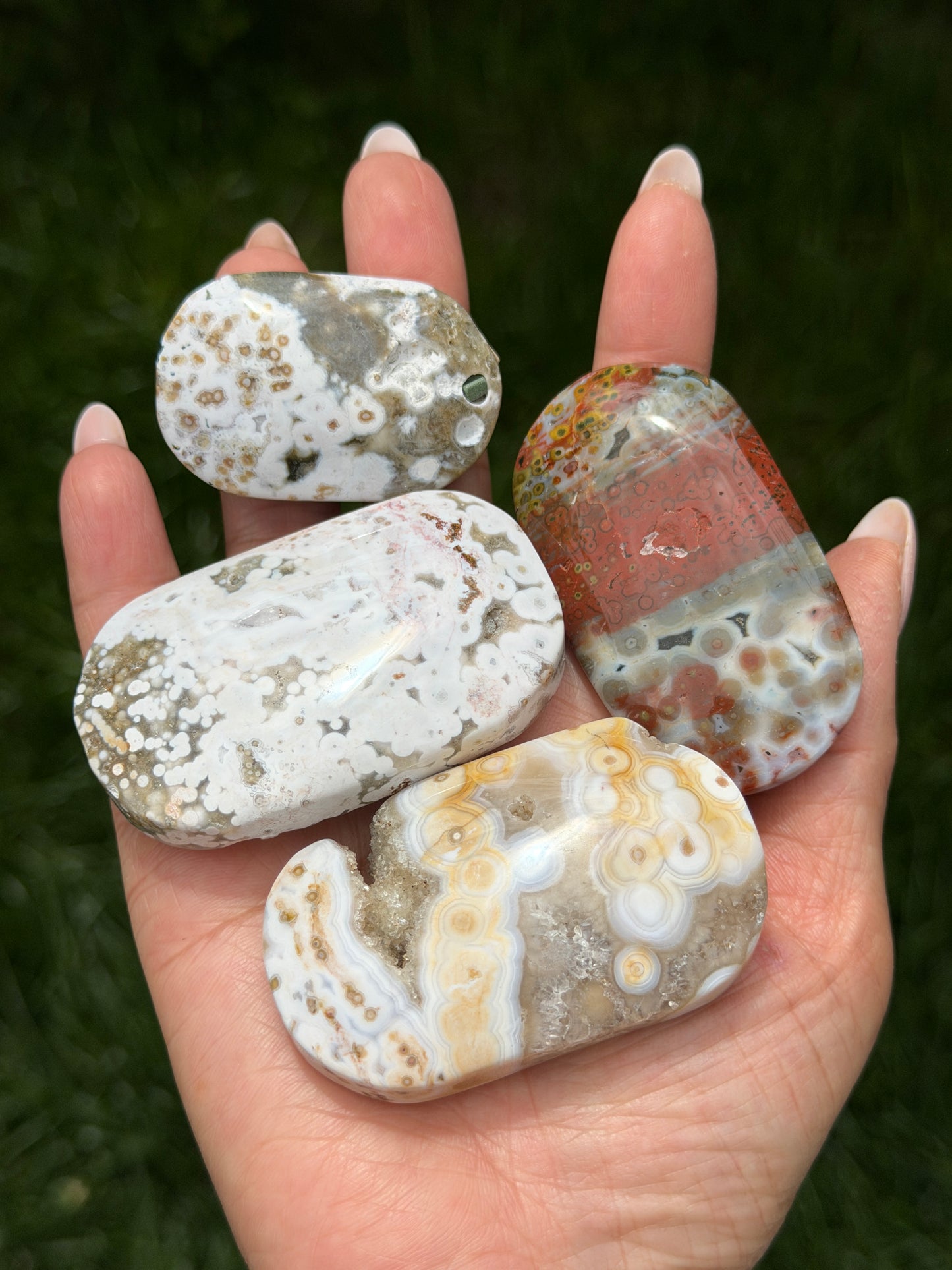 Wholesale 1 lb Lot Natural Ocean Jasper Palm Stone Crystal Energy