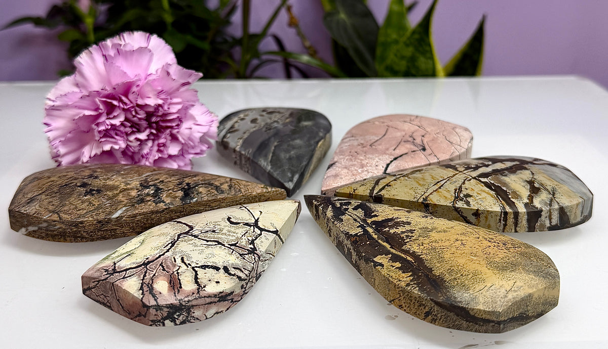 6PCs Natural Picture Jasper Freeform Crystal Healing