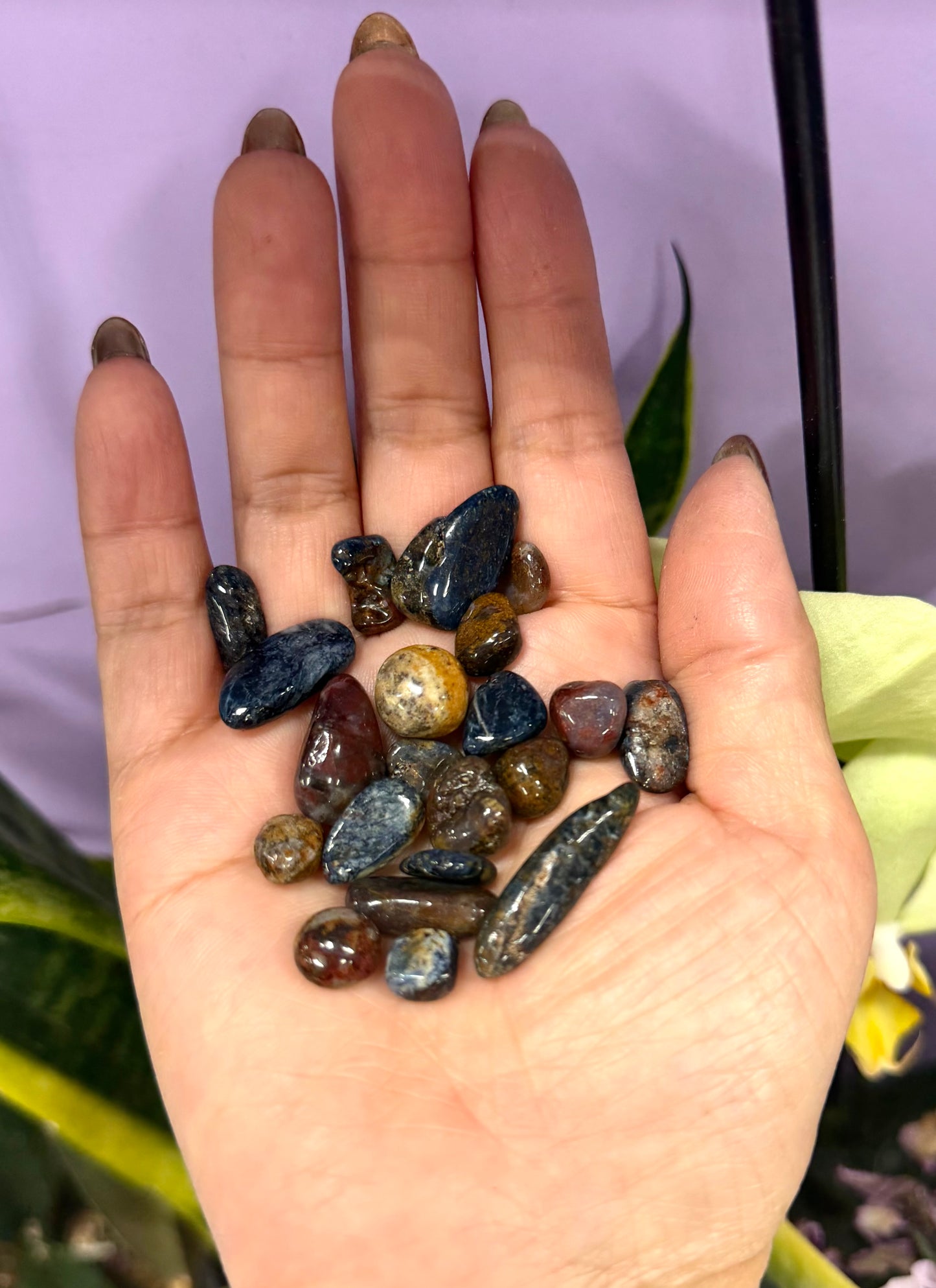 2 lbs Natural Mini Pietersite Tumble Crystal Healing Energy