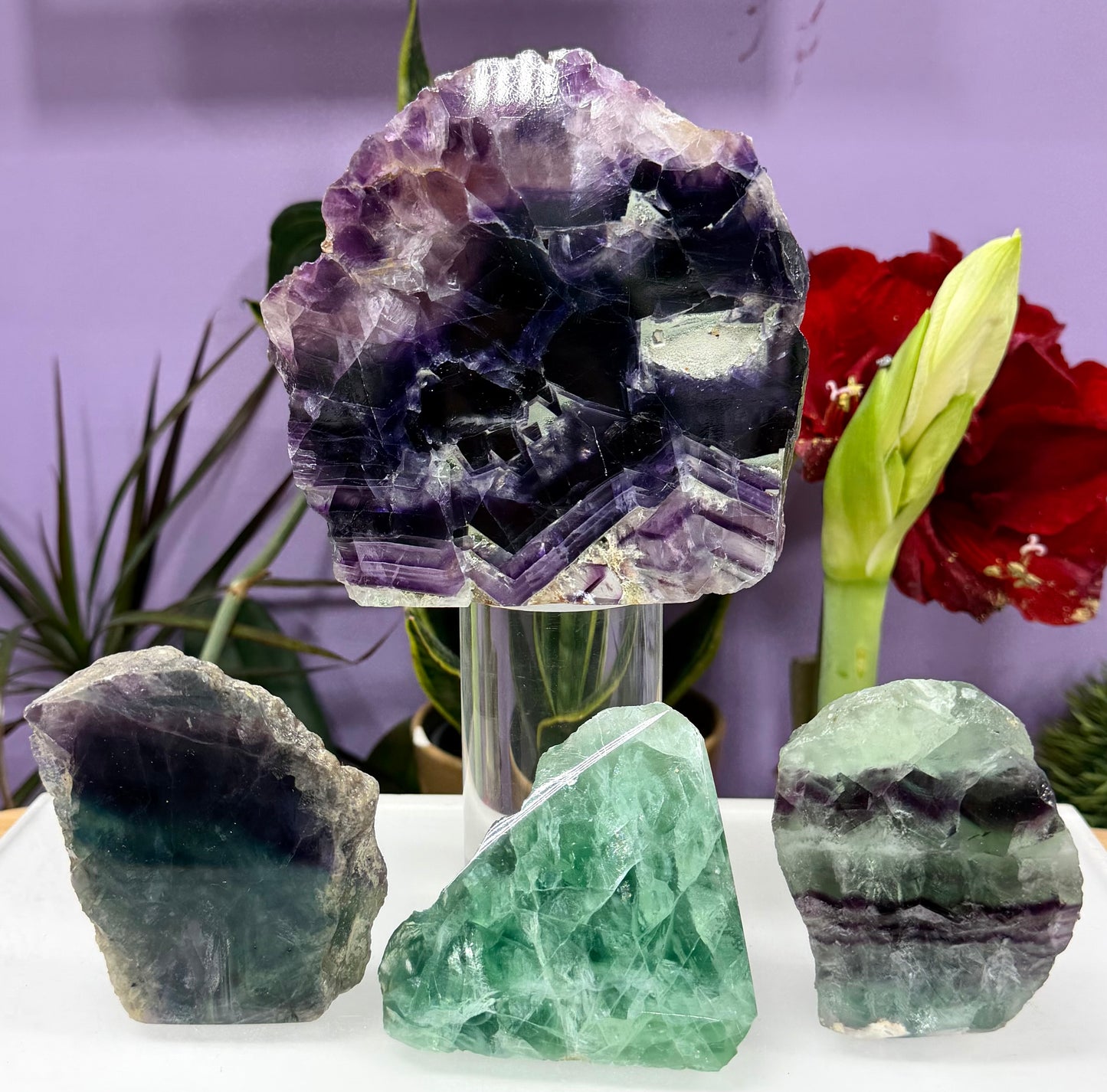 3-4 PCs Natural Rainbow Fluorite semi polished Slabs