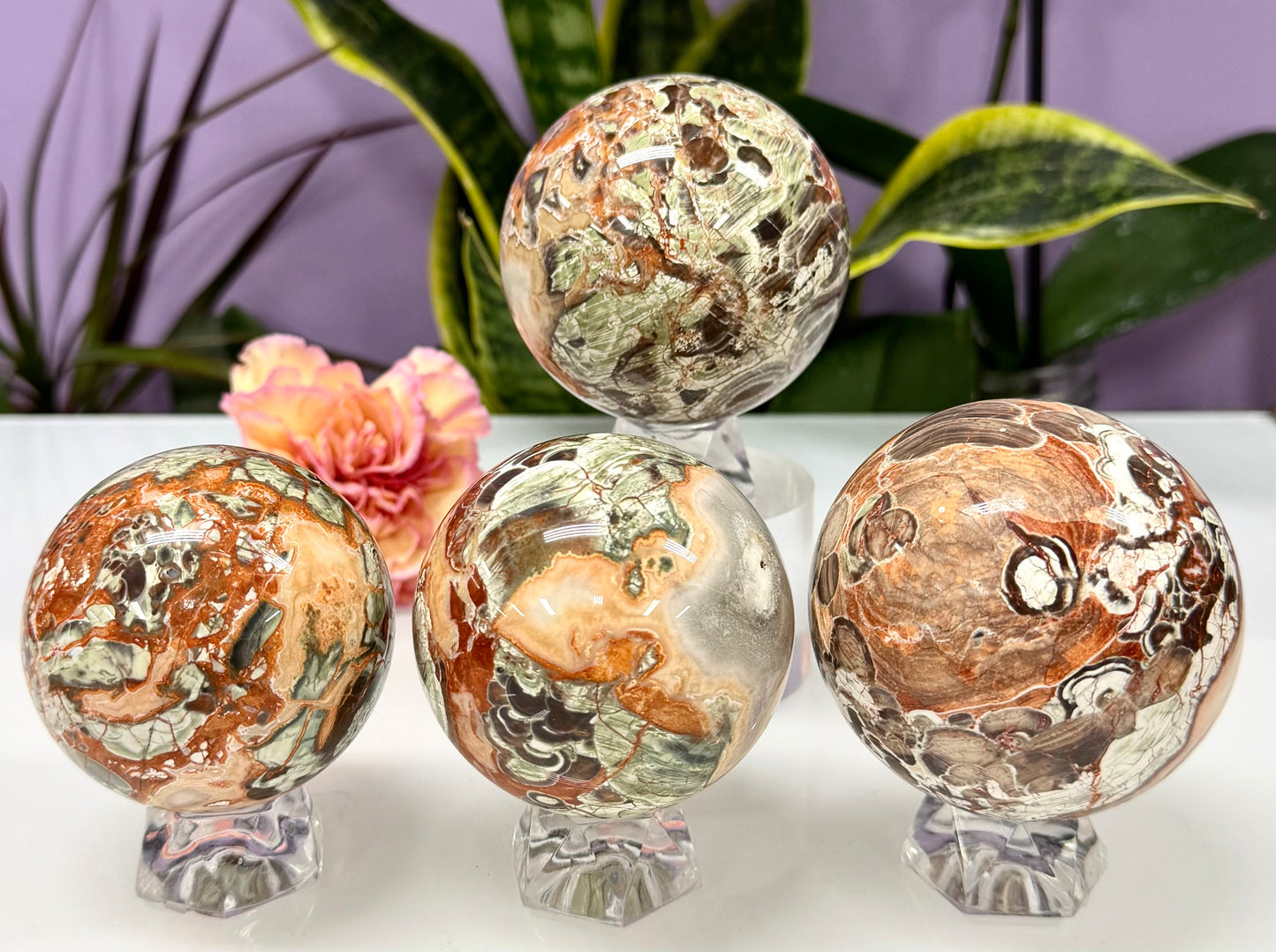 Wholesale Lot 3-4 Pcs Natural Money Agate Sphere Crystal Ball 2.8-3lbs Healing Energy