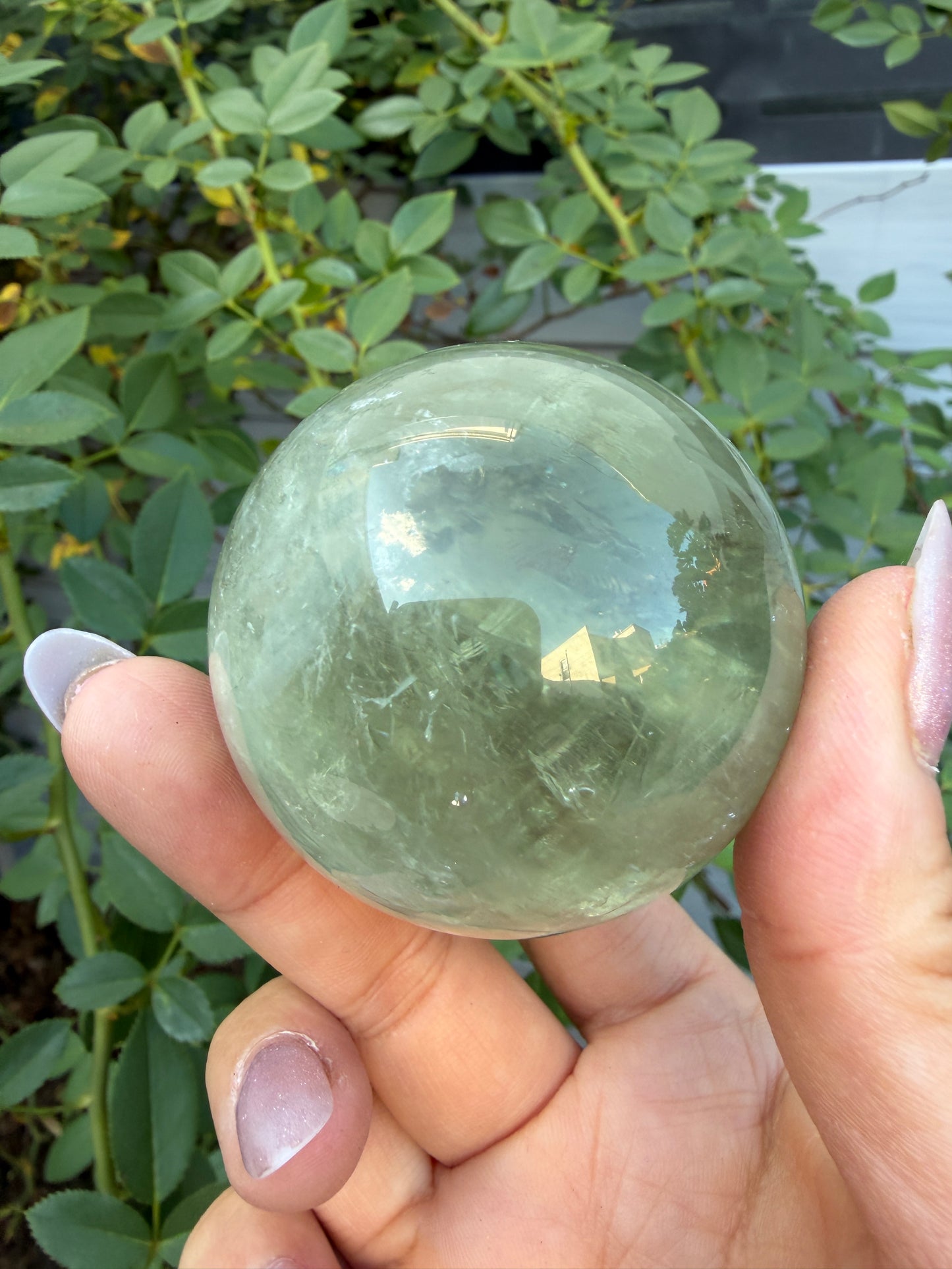 Wholesale 2 lbs Prasiolite aka Green Amethyst Spheres Crystal Ball Energy Healing