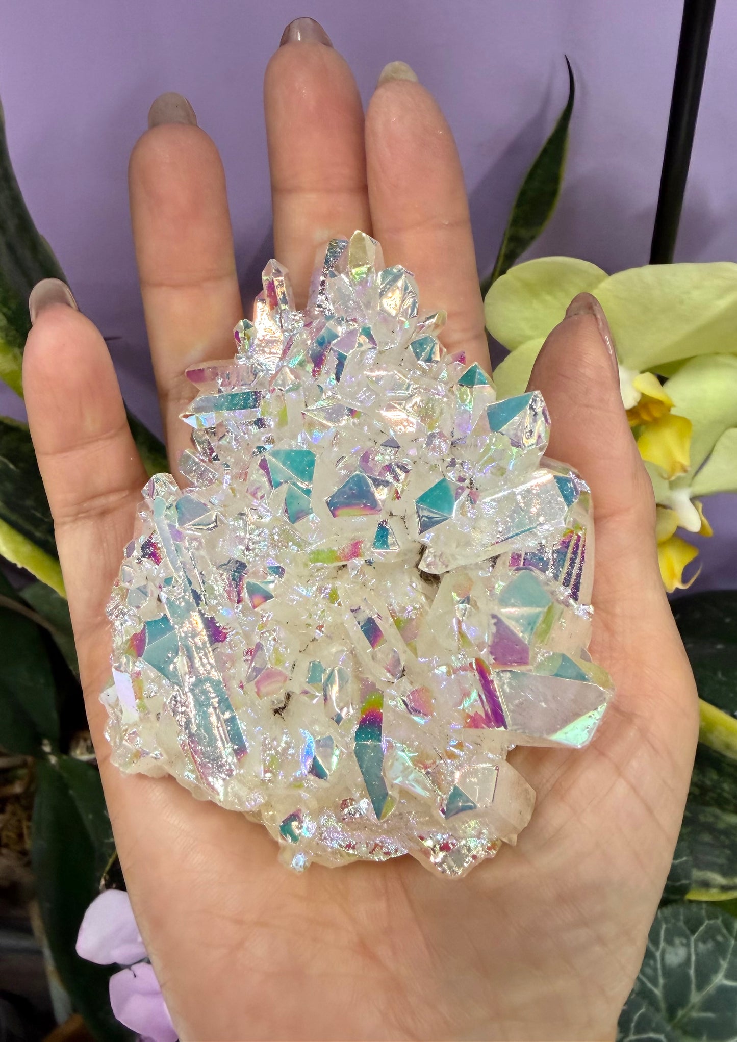 Wholesale 2 lbs Angel Aura Quartz Cluster Natural Crystal
