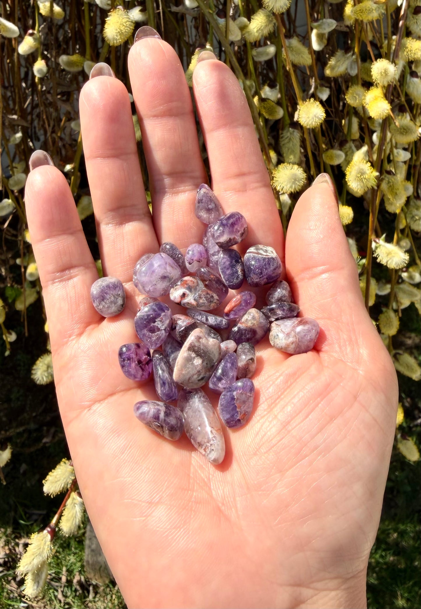 2 lbs Natural Mini Auralite 23 Tumble Crystal Healing Energy