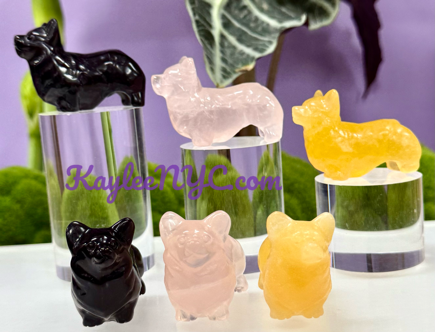 Wholesale Lot 6 PCs Natural Crystals  Corgi Healing Energy