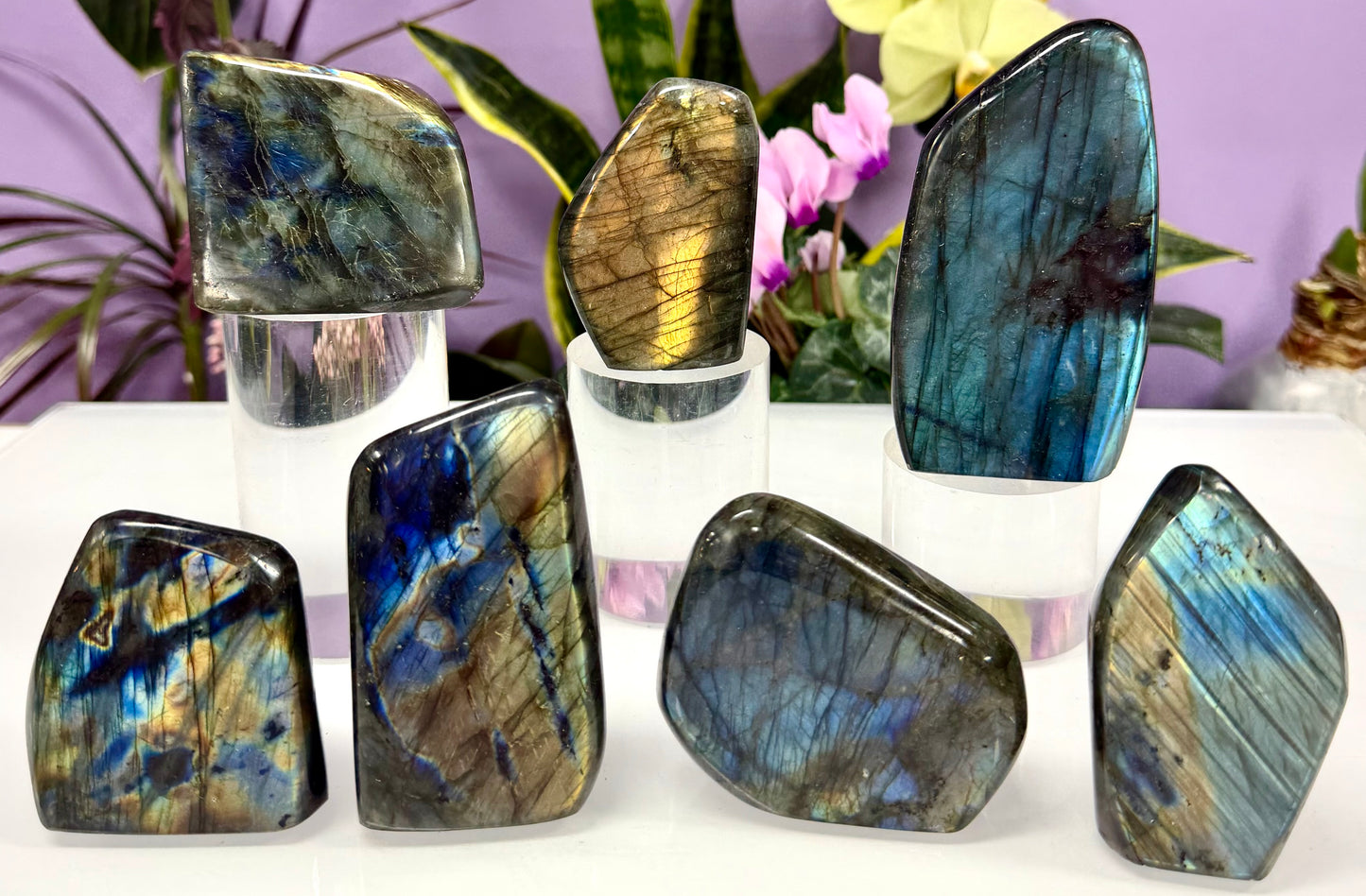 Wholesale Lot 3 lbs Natural Labradorite Freeform Crystal Healing Energy