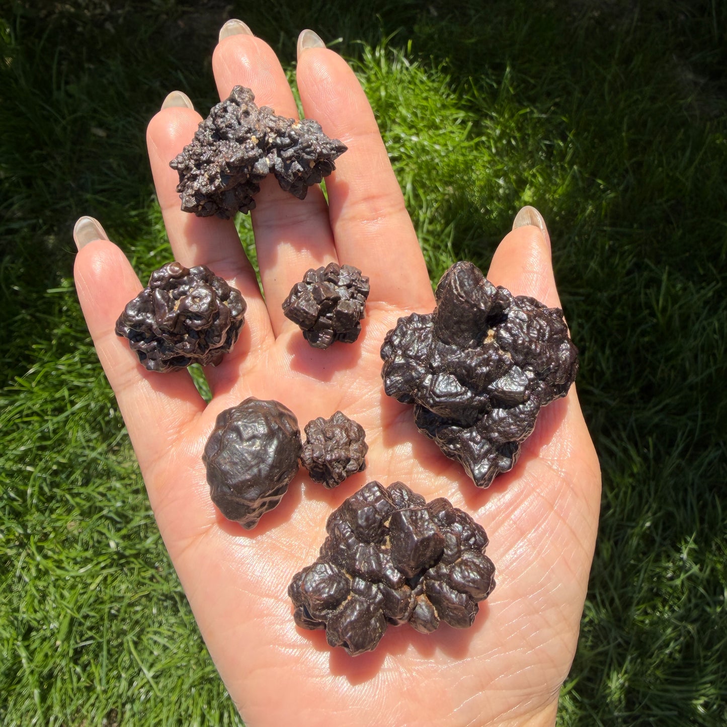 Wholesale Lot 2 Lbs Natural Prophecy Stones