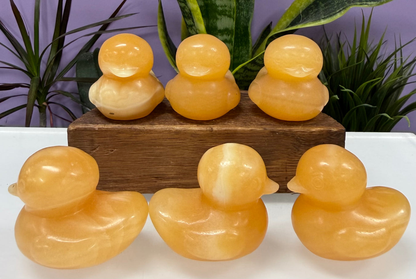 8 PCs 5cm Natural Orange Calcite Duck Crystal Healing Energy