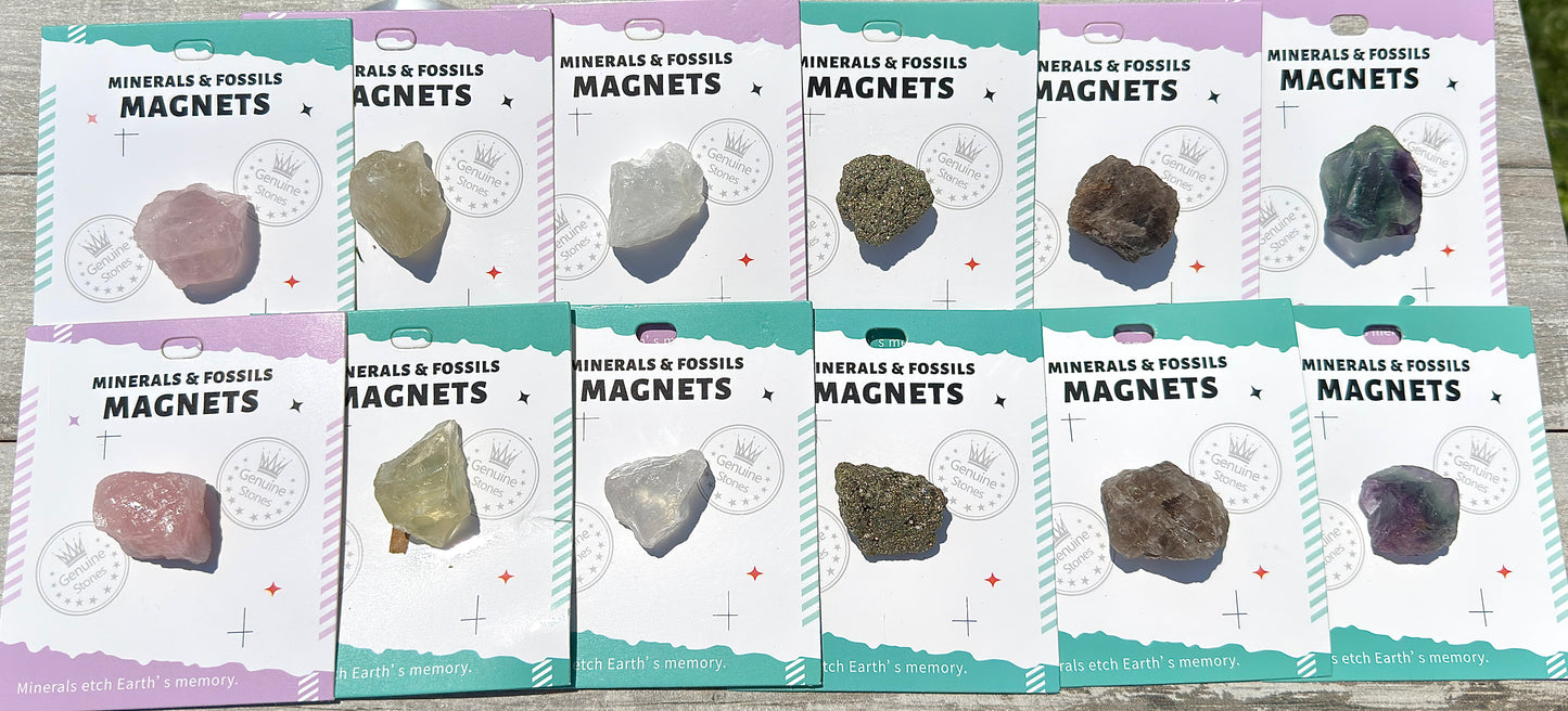 Wholesale Lot 12 pcs Mixed Natural Rough Crystal Magnet