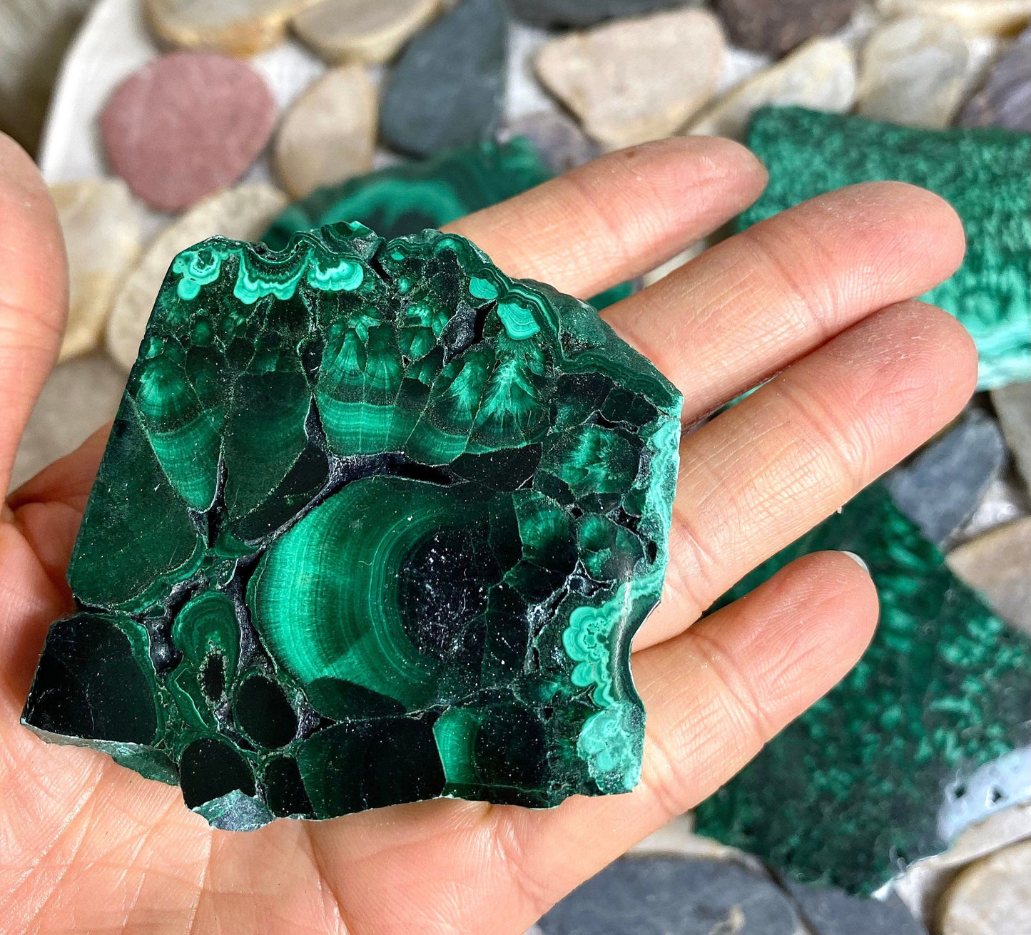 Wholesale Lot 3-5PCs  Natural Malachite Slab Crystal Nice Quality Healing Energy 1.9 to 2 lbs