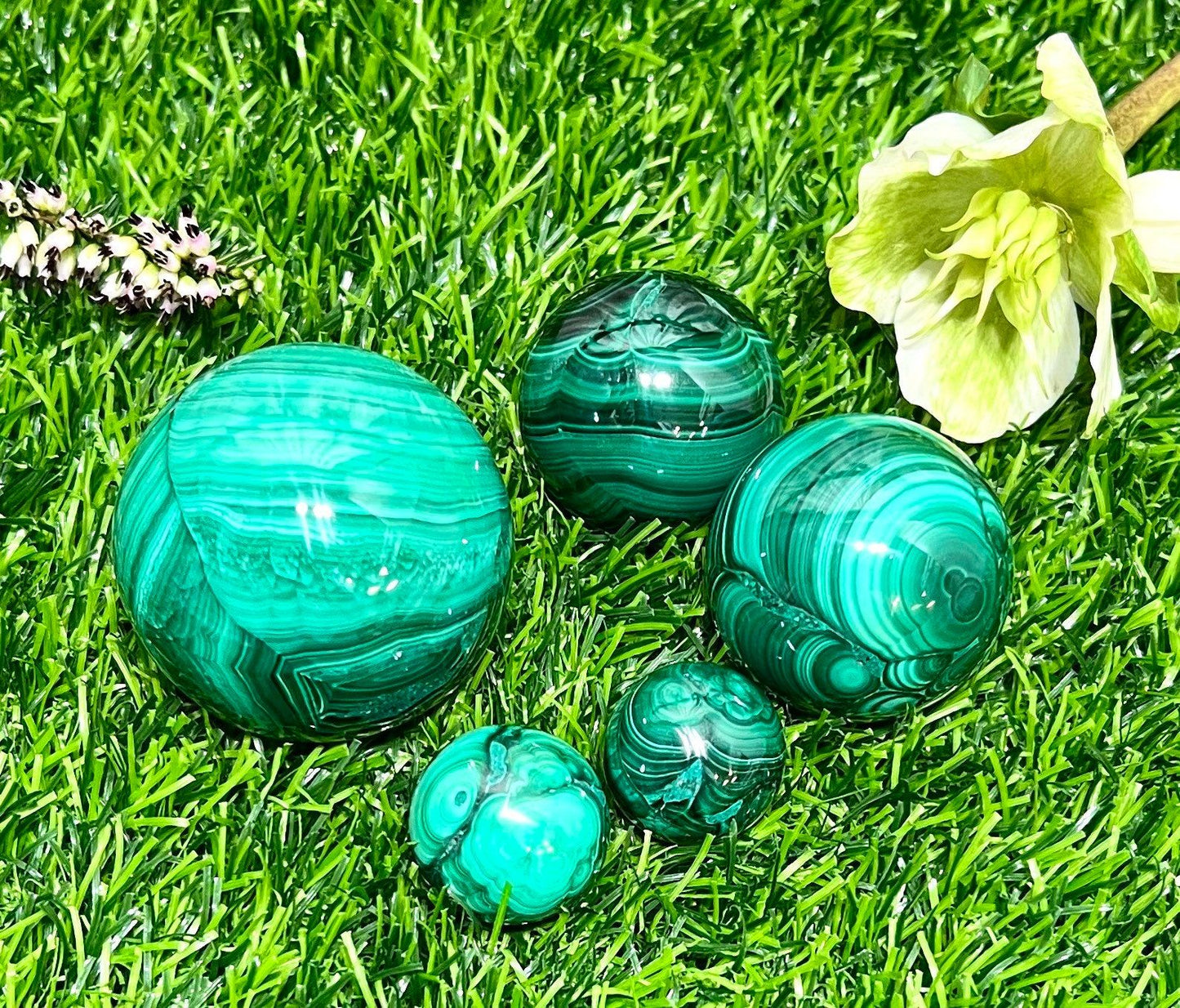 Wholesale Lot 1 Lb Natural Malachite Spheres Crystal Ball Healing Energy