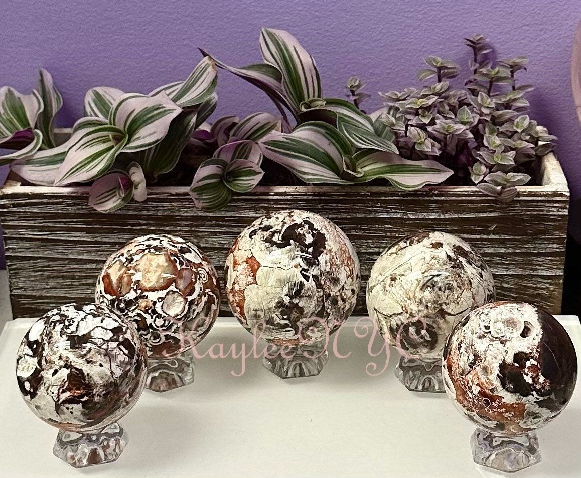 Wholesale Lot 4 to 5 Pcs Natural Money Agate Sphere Crystal Ball 2.8 to 3 lbs Nice Quality Healing