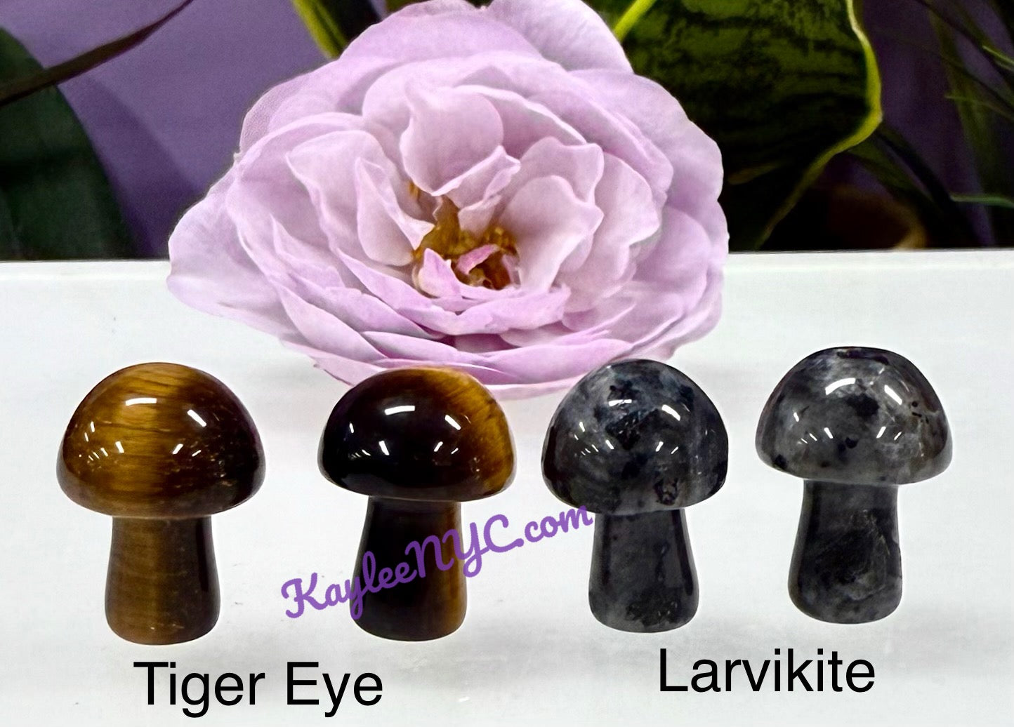 Wholesale Lot 50 PCs Natural Mixed 20mm Crystal Mushroom Healing Energy