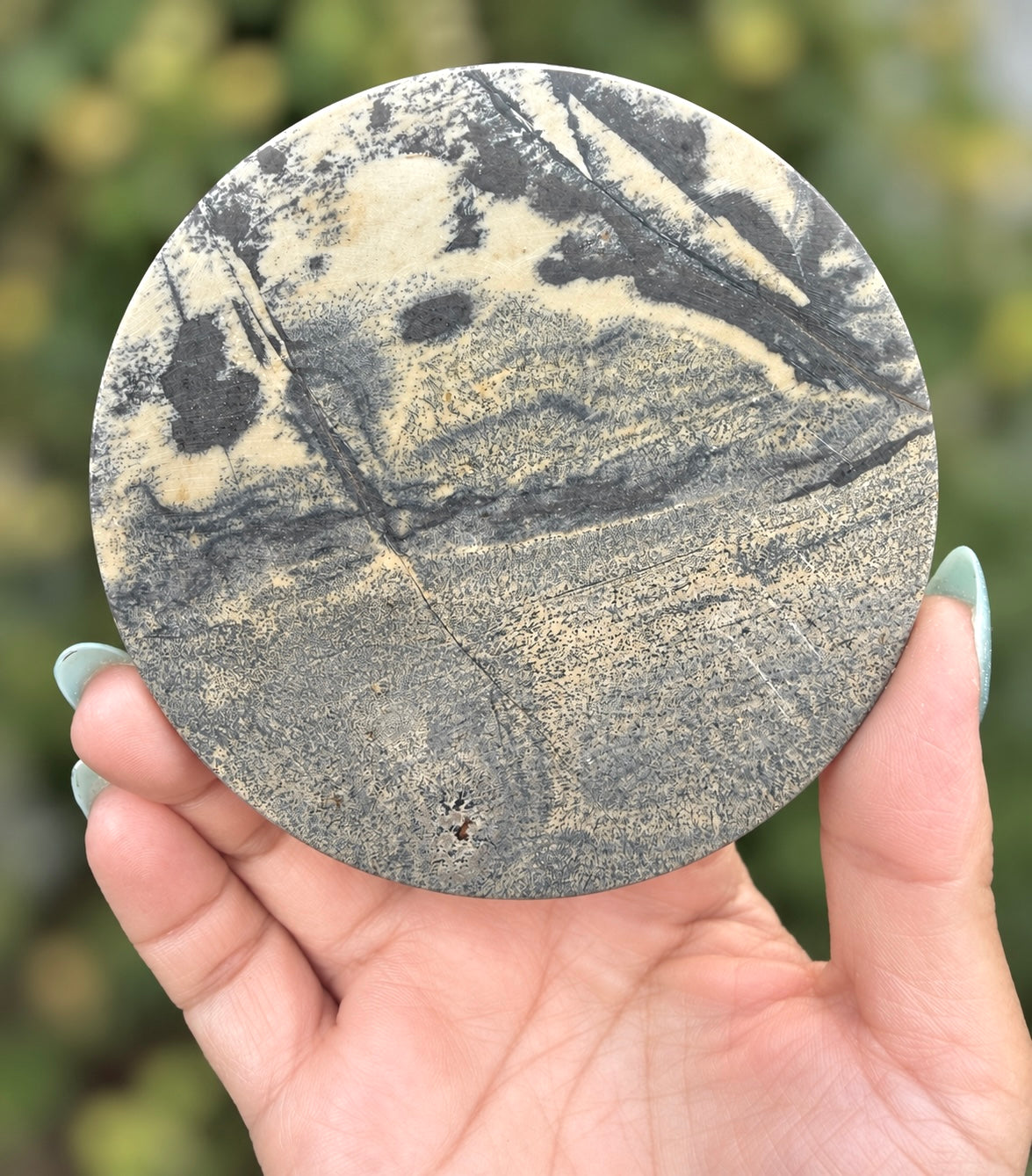 Wholesale Lot 4 pcs Natural Picture Jasper Slab with stand Crystal Healing Energy