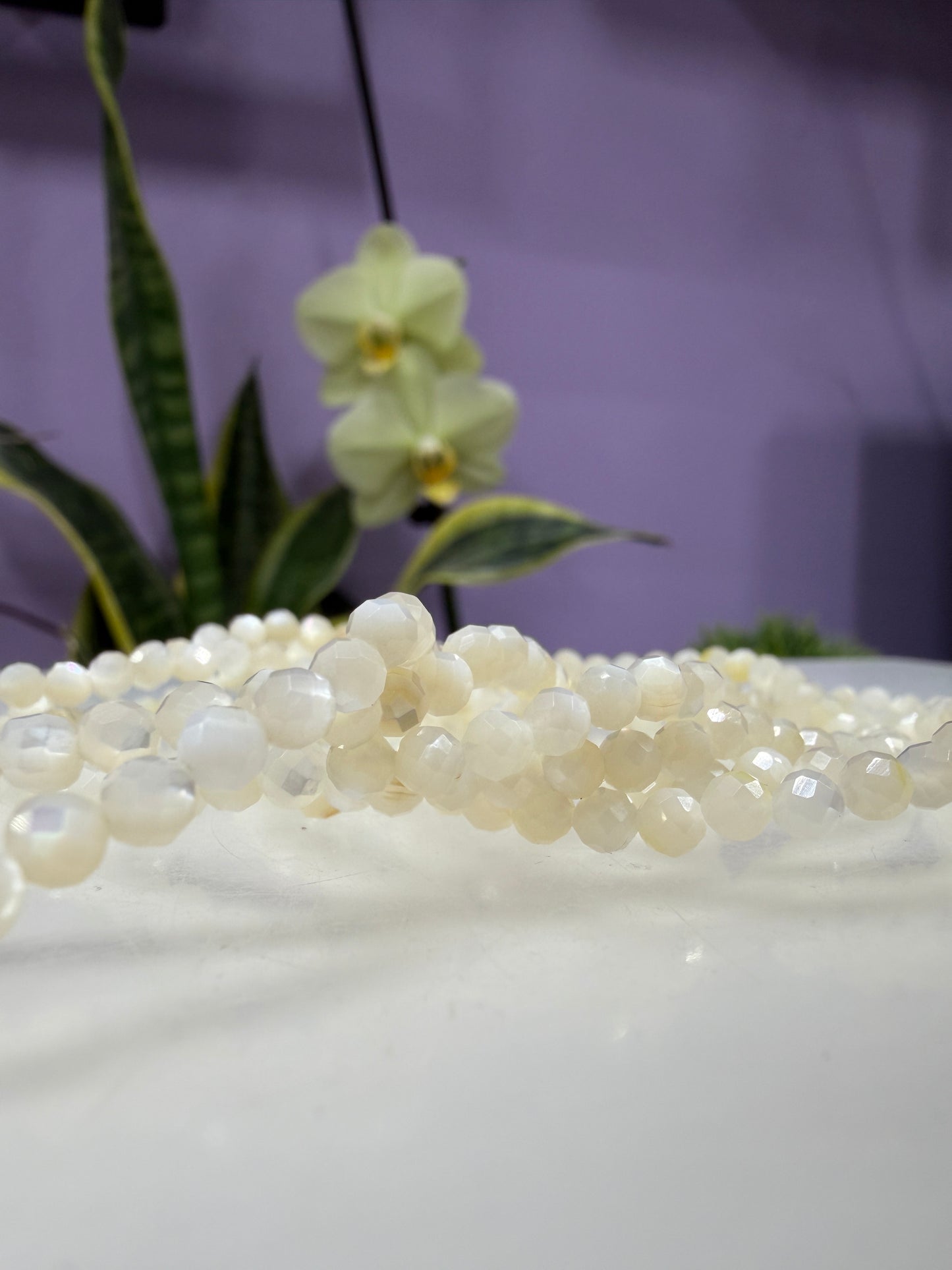 Wholesale 6 Pcs 4mm Faceted Mother of Pearl Stretch Bracelet 7.5"