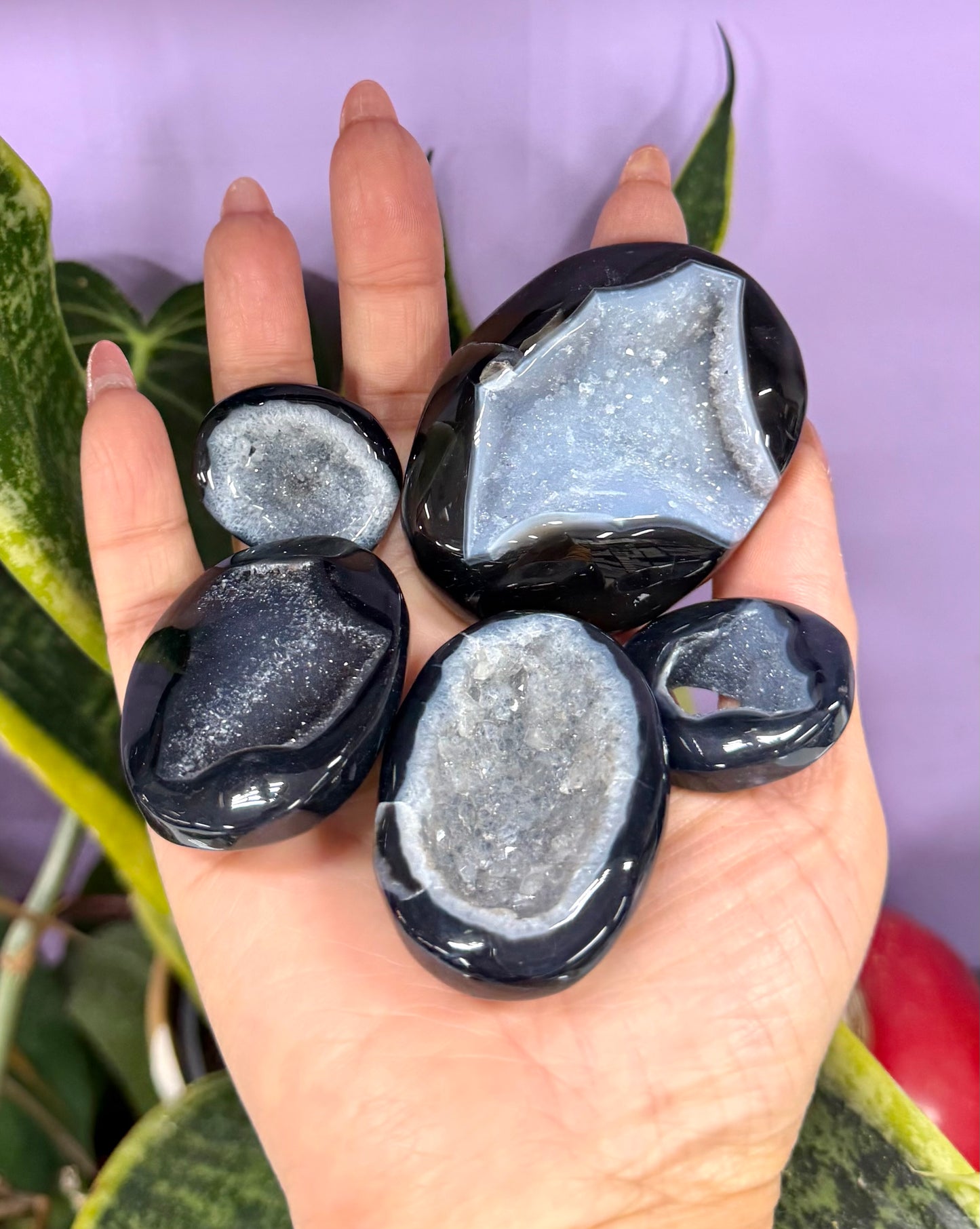 Wholesale 2 Lb Lot Natural Druzy Onyx Palm Stones Crystal Energy